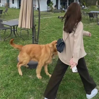 圣诞恐怖故事